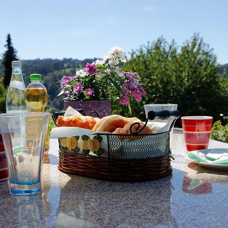 Ferienappartement Donautal Obernzell Luaran gambar